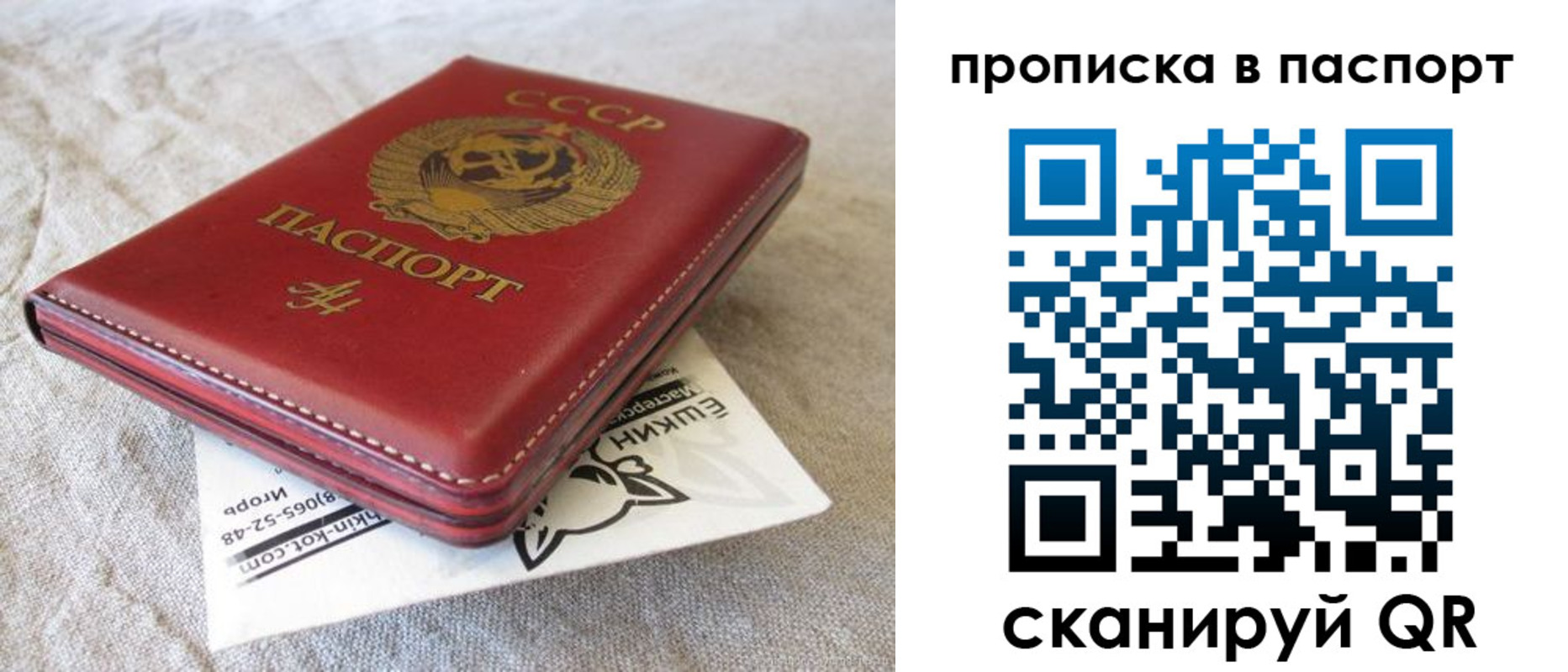 прописка штамп в Купино