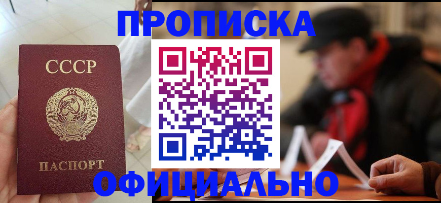 временная регистрация для школы в Купино